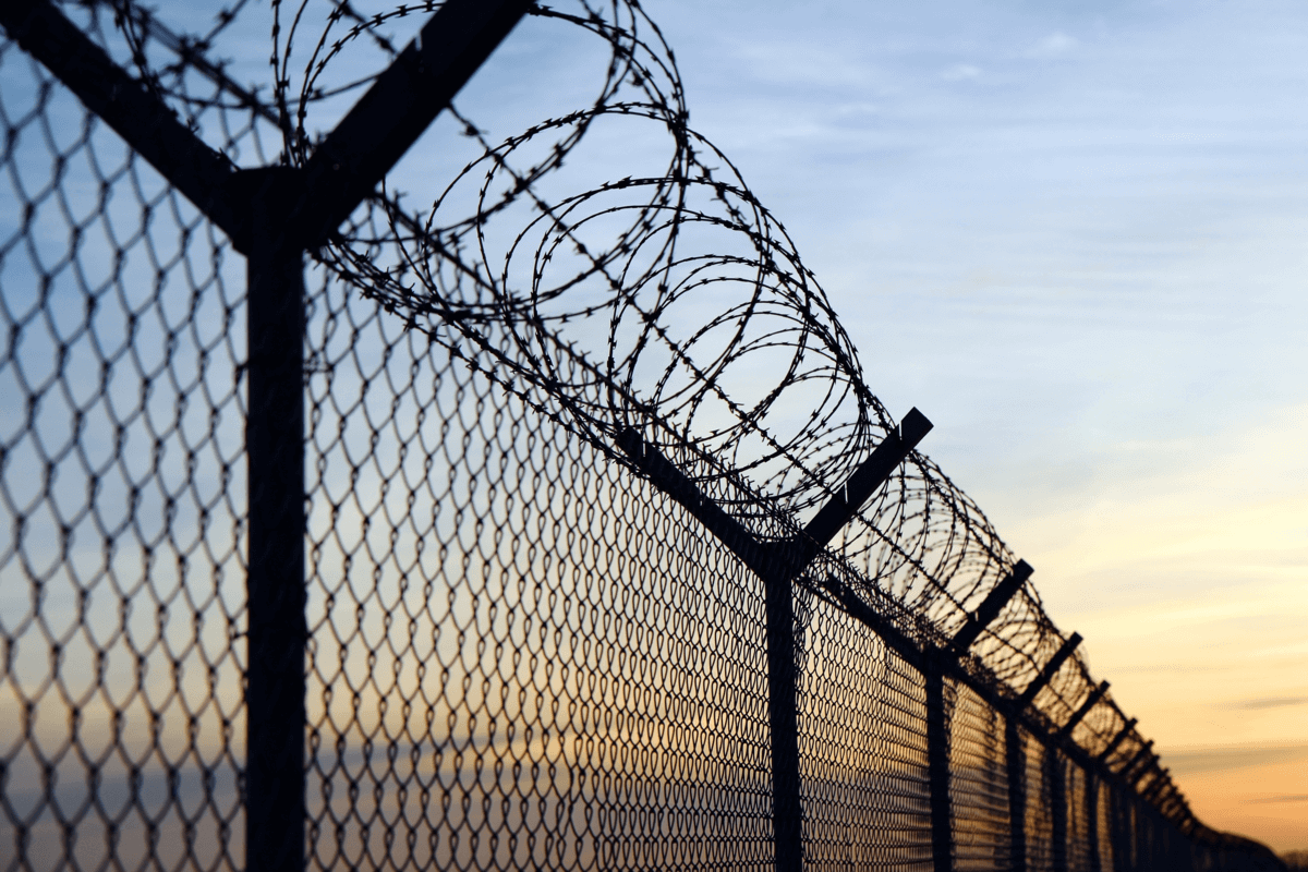 Barbed Wire